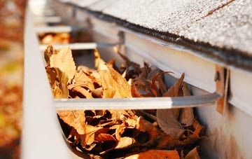 Balmore gutter cleaning companies